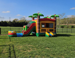 jungle combo 3 1771625925 Jumanji