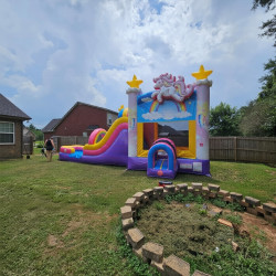 unicorn combo202 1771631520 Rarity